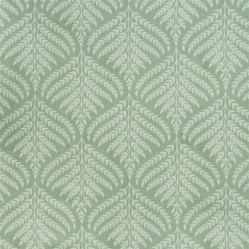 #color_frond green-specs