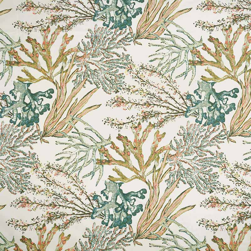 #color_green coral