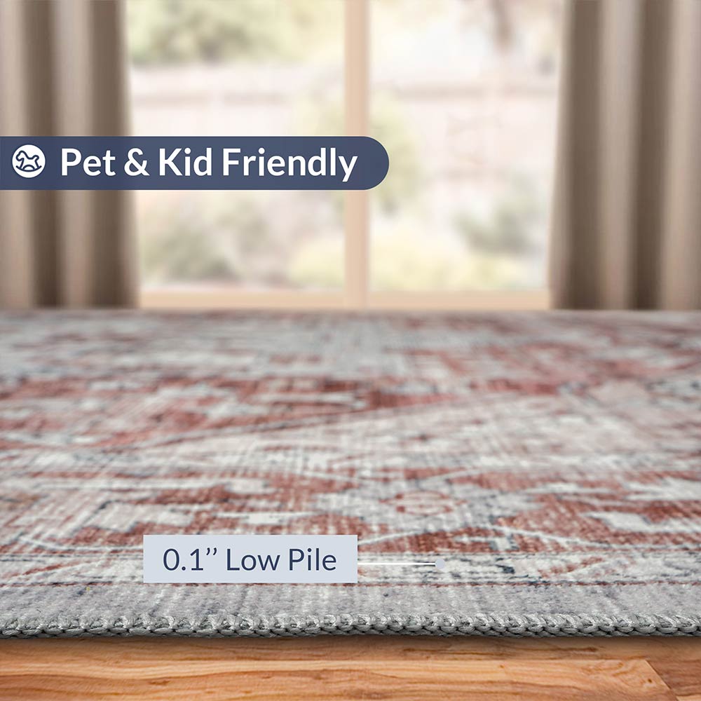 Washable Rug