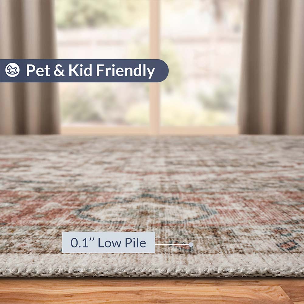 Washable Rug