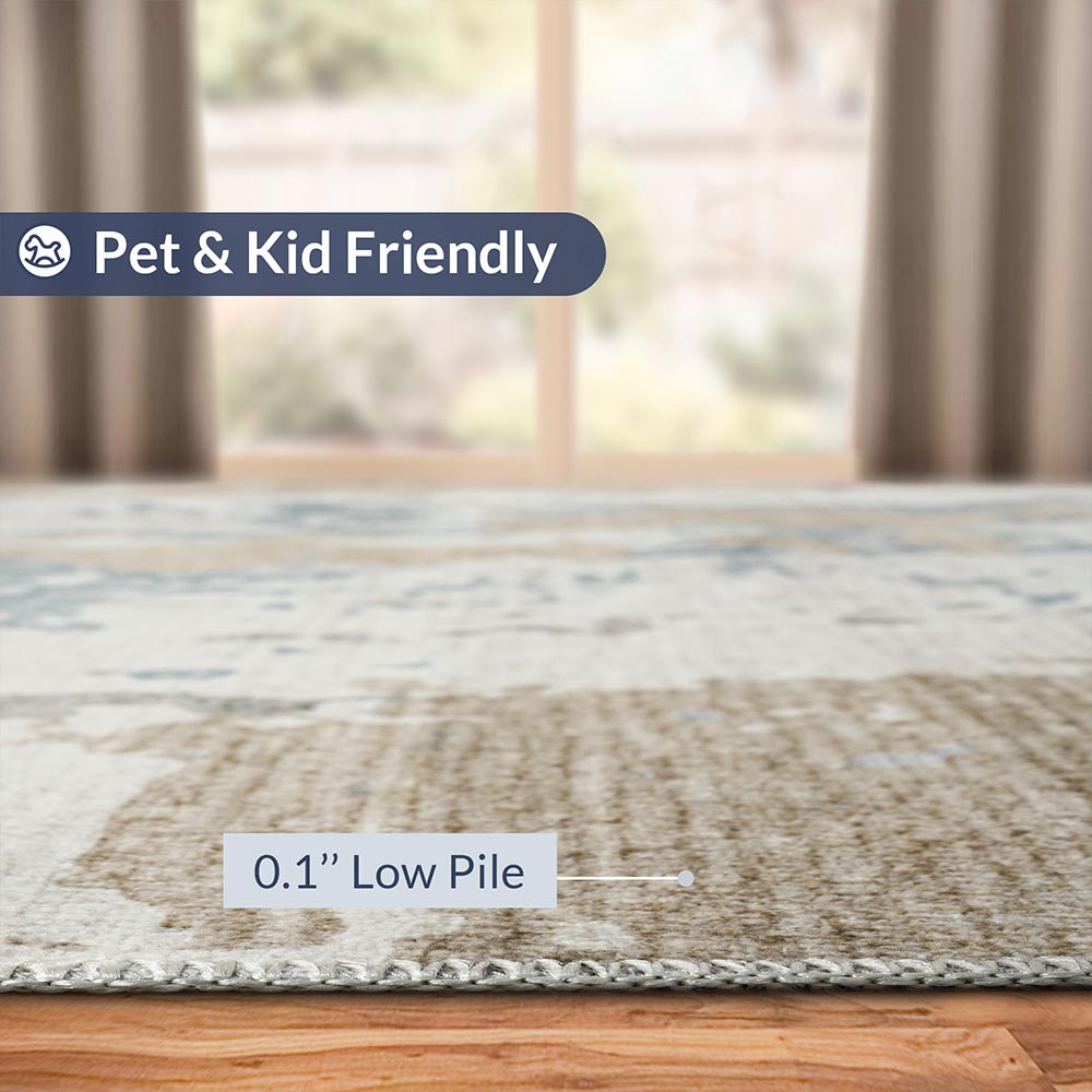 Washable Rug