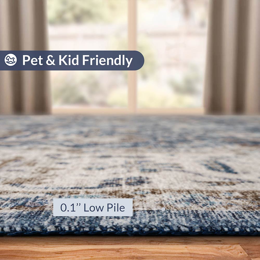 Washable Rug