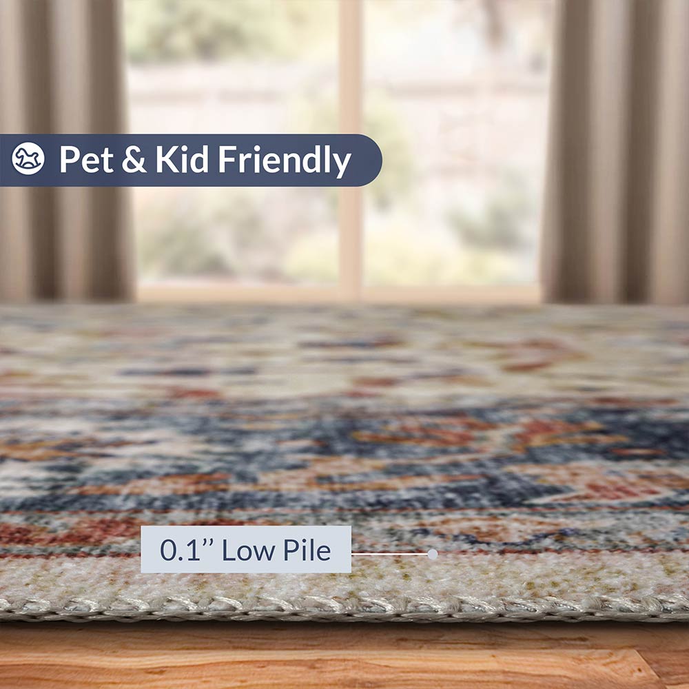 Washable Rug