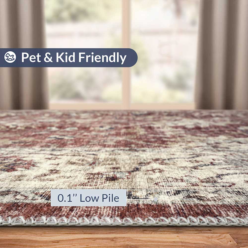 Washable Rug