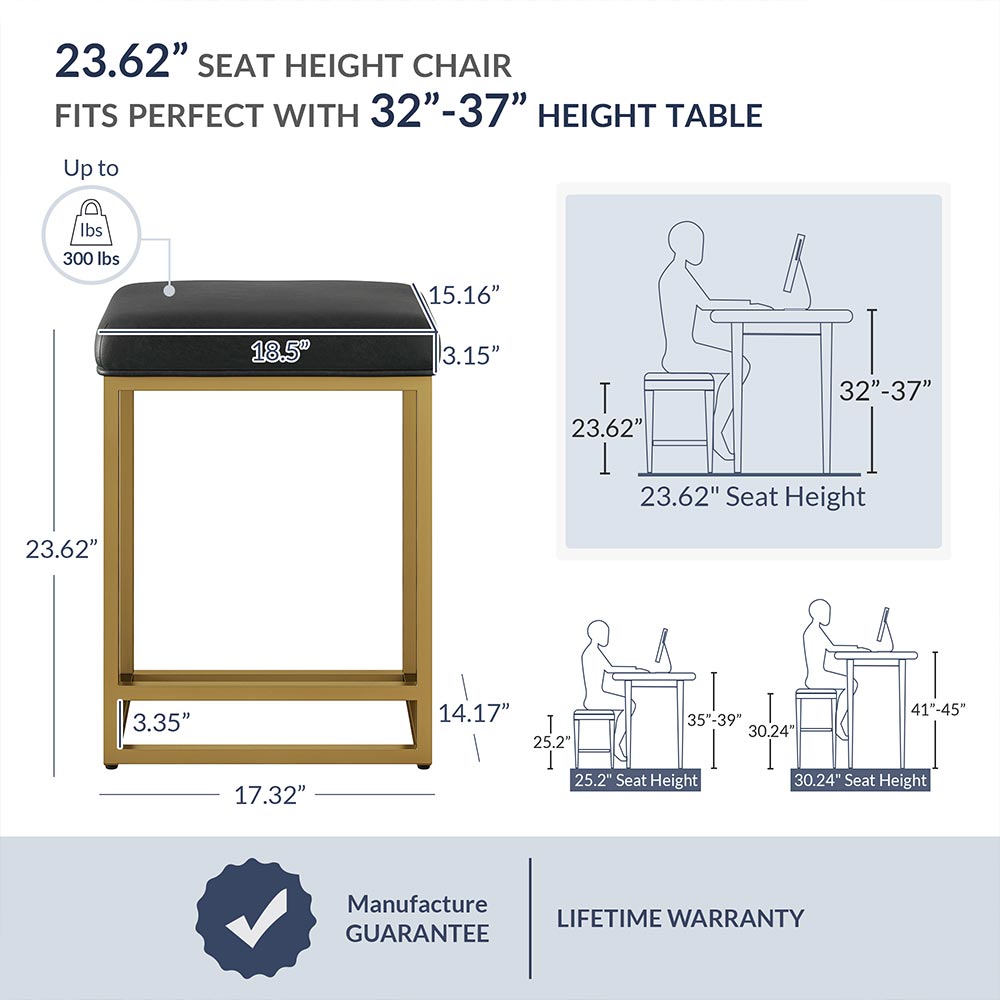 24" Bar Stools (2)