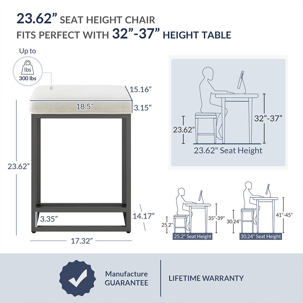 24" Bar Stools (2)