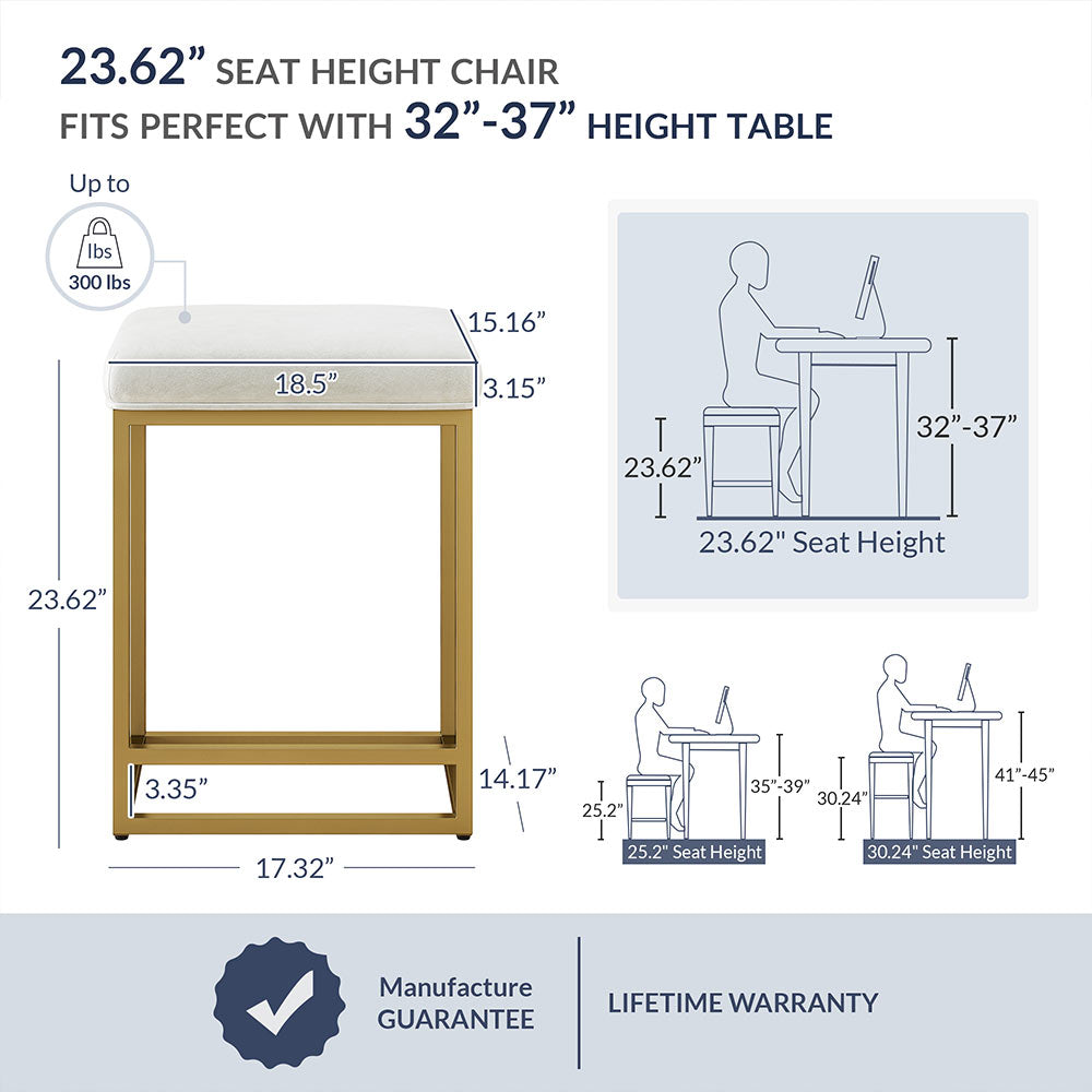 24" Bar Stools (2)