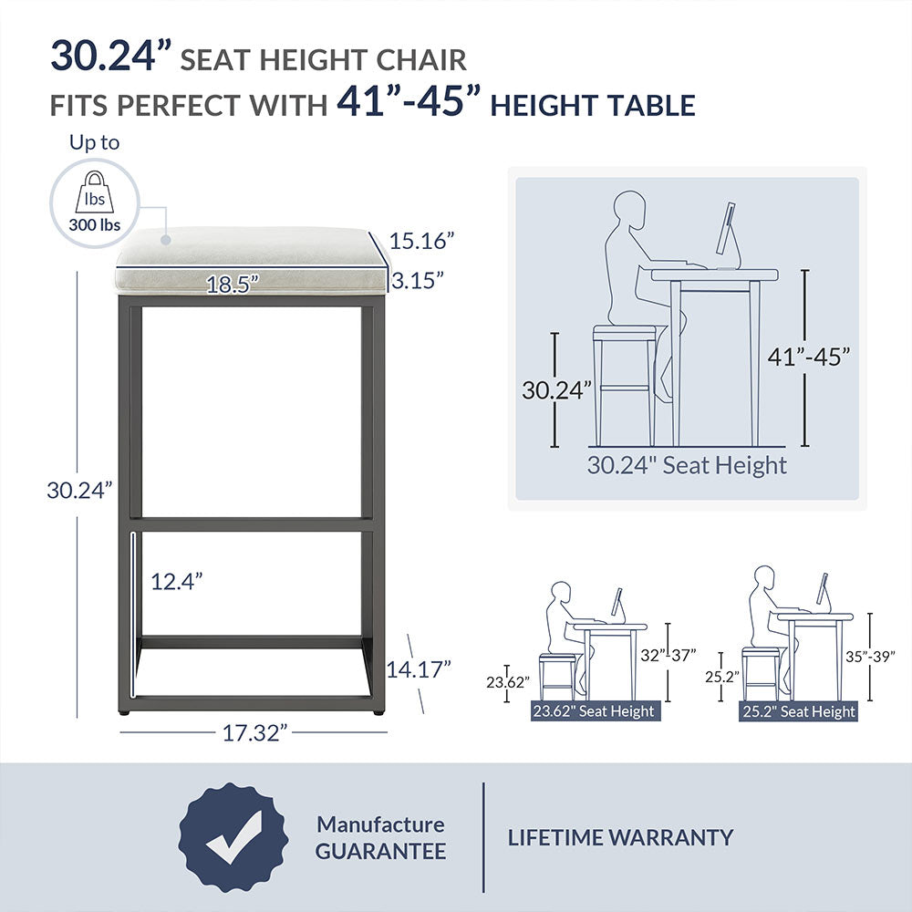 30" Bar Stools (2)