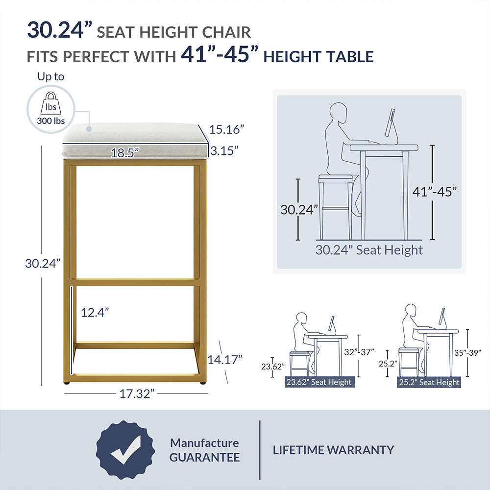 30" Bar Stools (2)