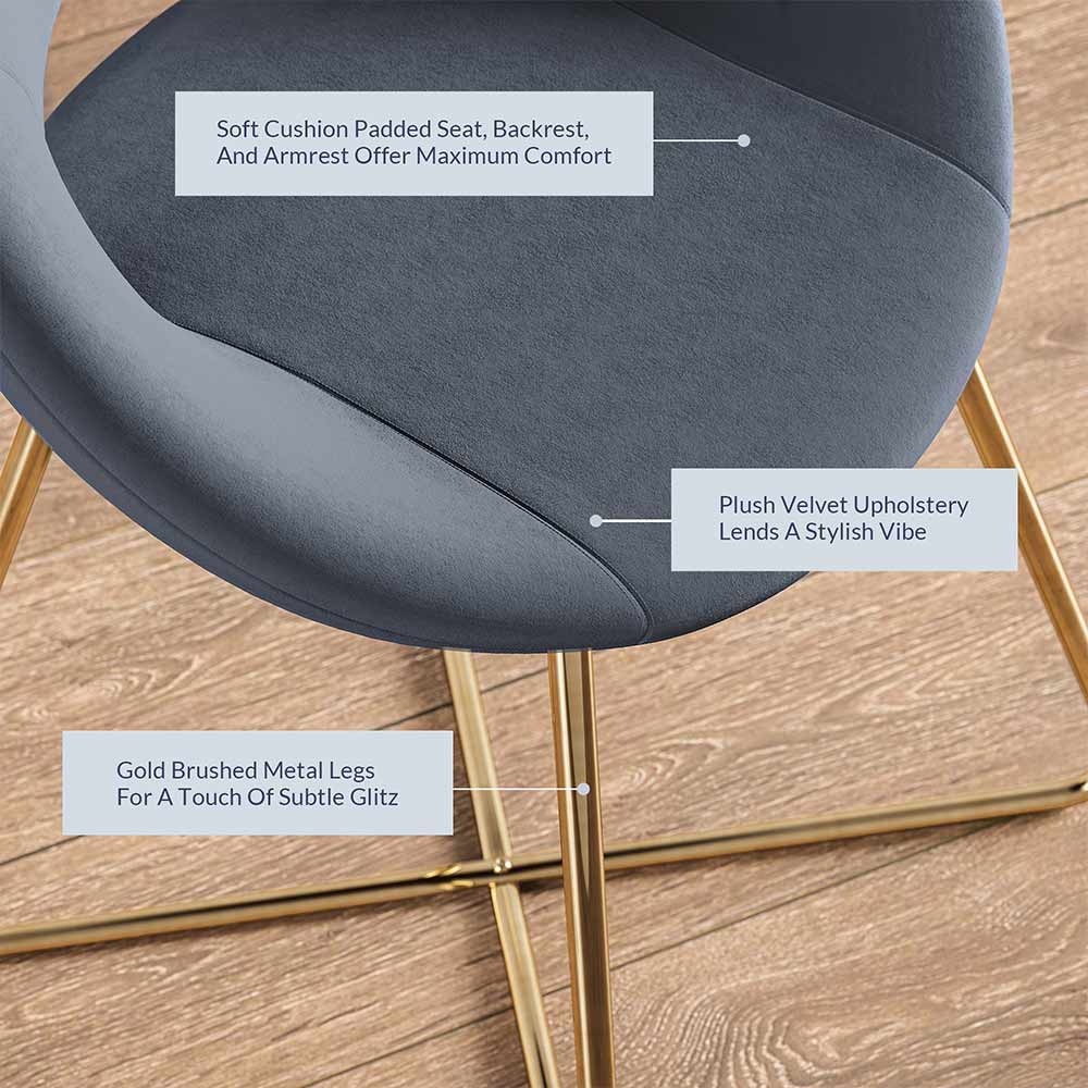 Ezra Modern Velvet Accent Chair with Gold Metal Legs