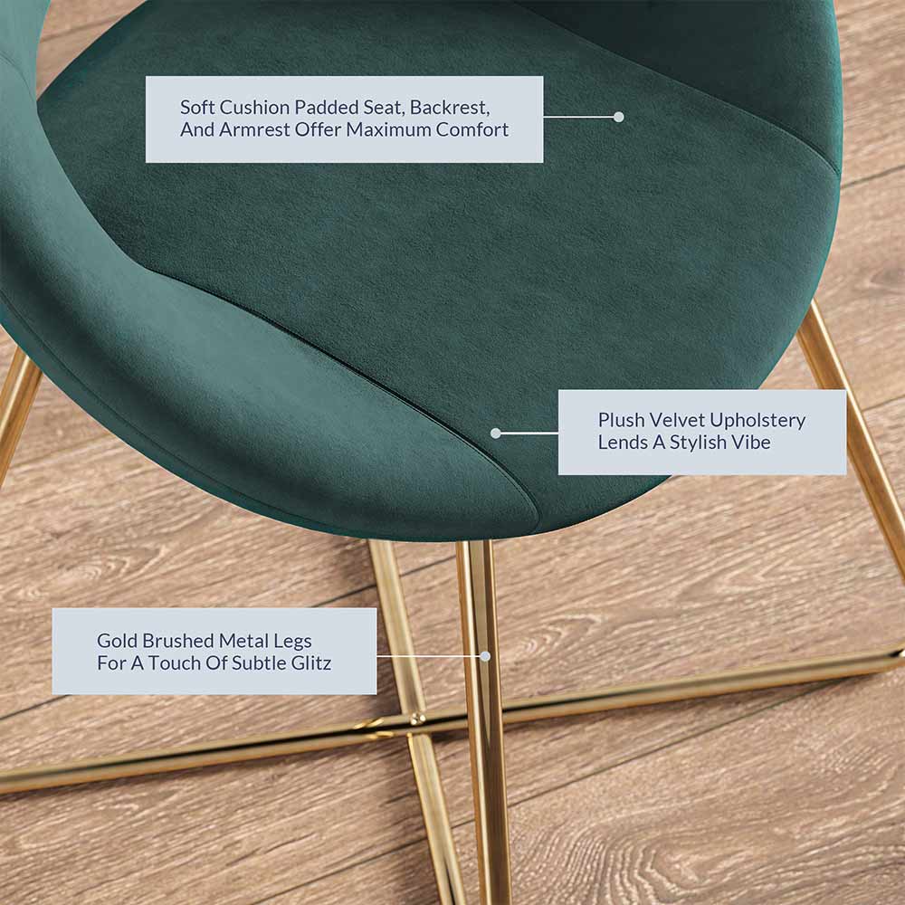 Ezra Modern Velvet Accent Chair with Gold Metal Legs