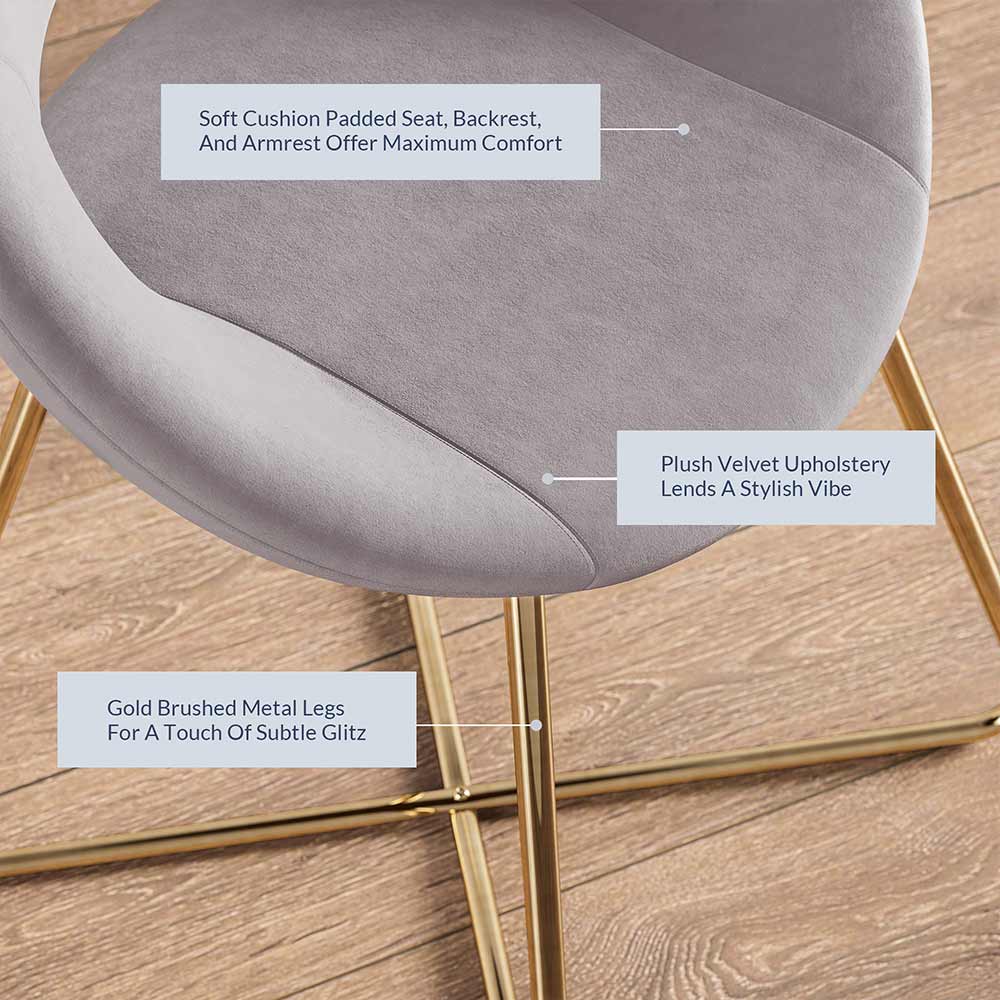 Ezra Modern Velvet Accent Chair with Gold Metal Legs