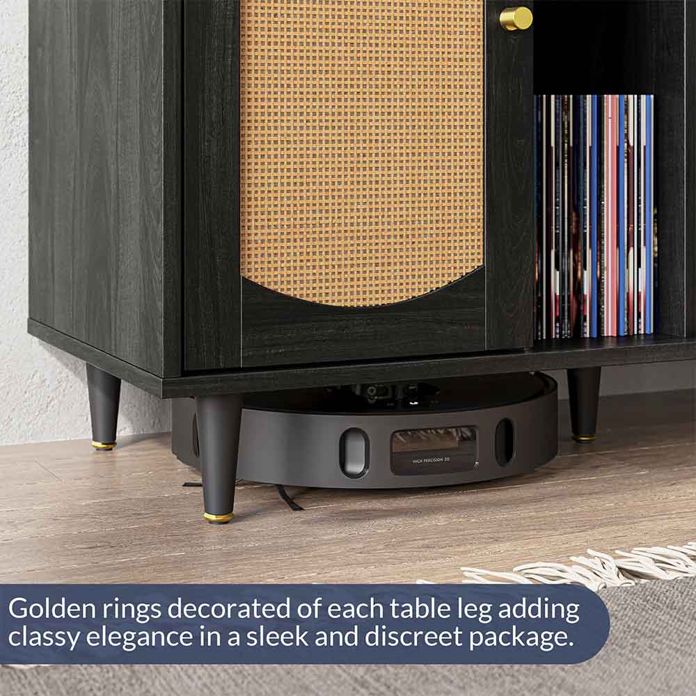 Record PLayer Stand