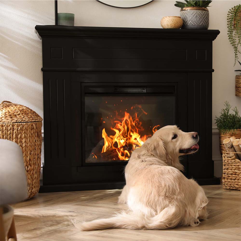 puppy and electric fireplace