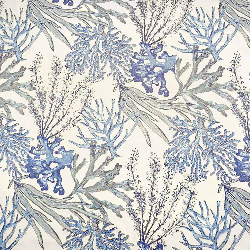 #color_blue coral