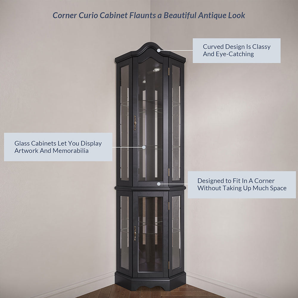 Loraine Canted Front Lighted Corner Curio Cabinet