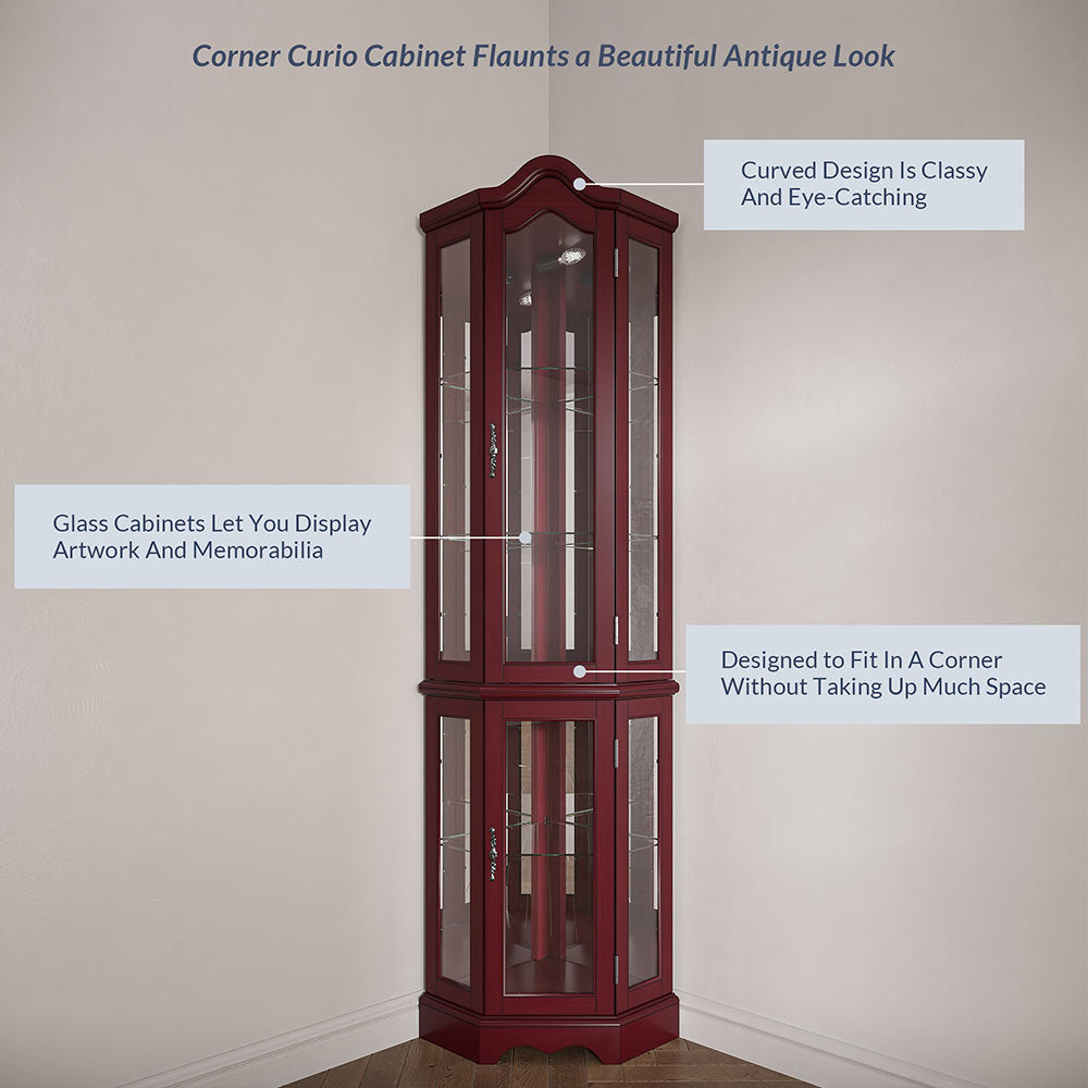 Loraine Canted Front Lighted Corner Curio Cabinet