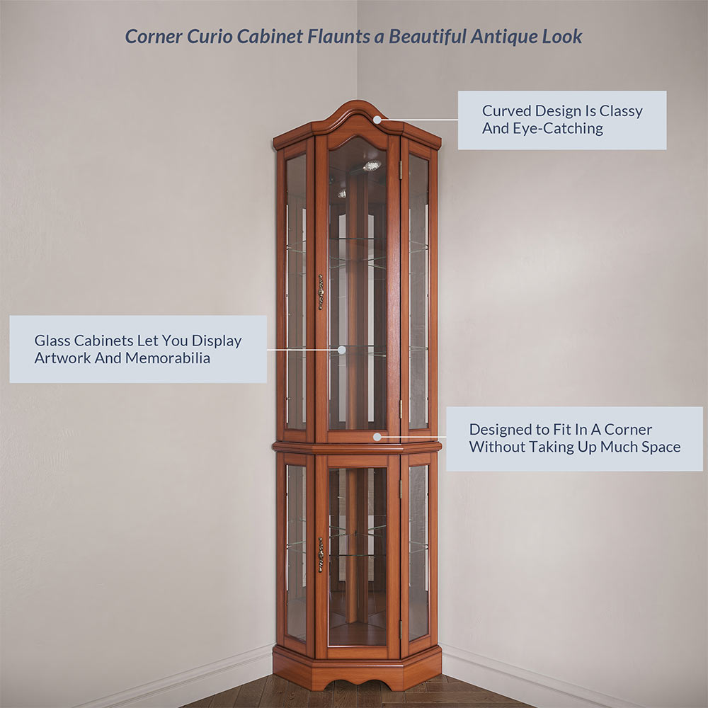 Loraine Canted Front Lighted Corner Curio Cabinet
