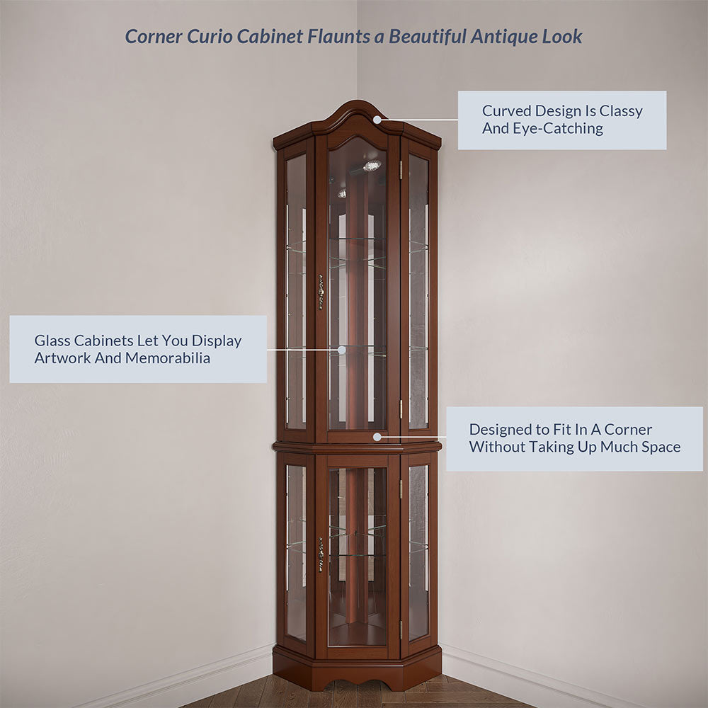 Loraine Canted Front Lighted Corner Curio Cabinet