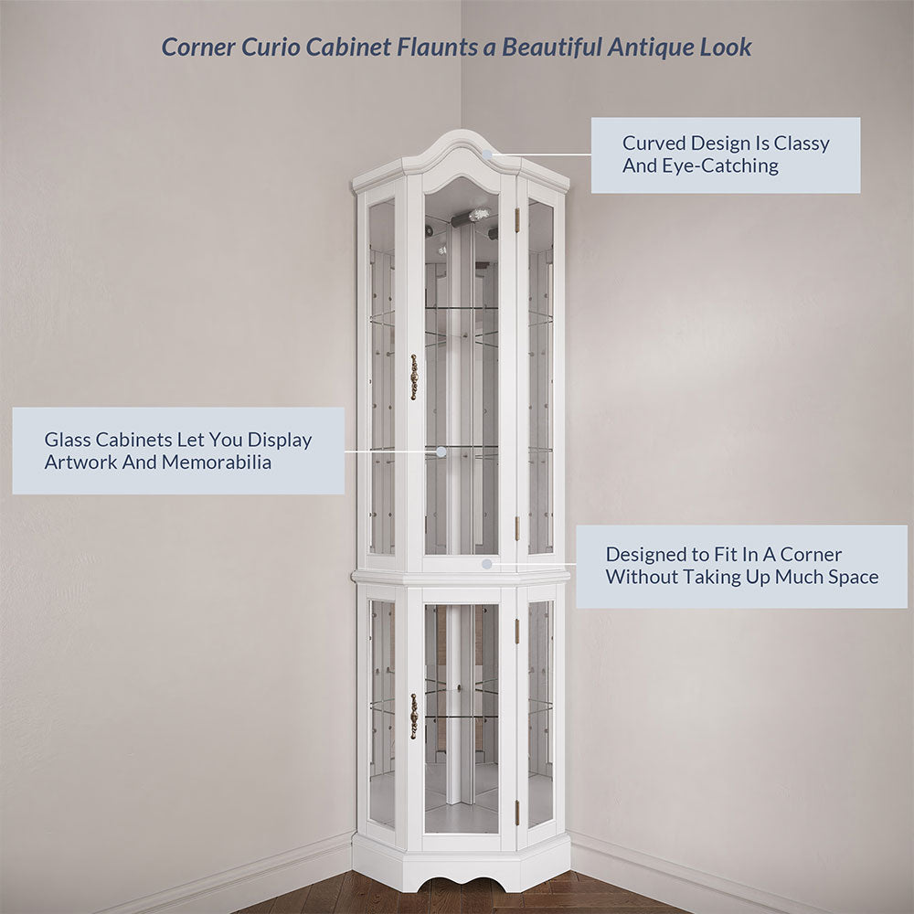 Loraine Canted Front Lighted Corner Curio Cabinet