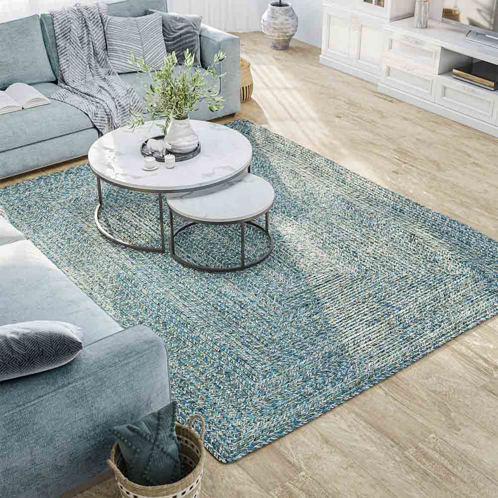 Braided Indoor/Outdoor Area Rug
