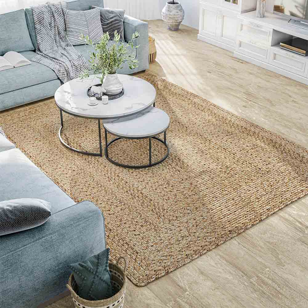 Braided Indoor/Outdoor Area Rug