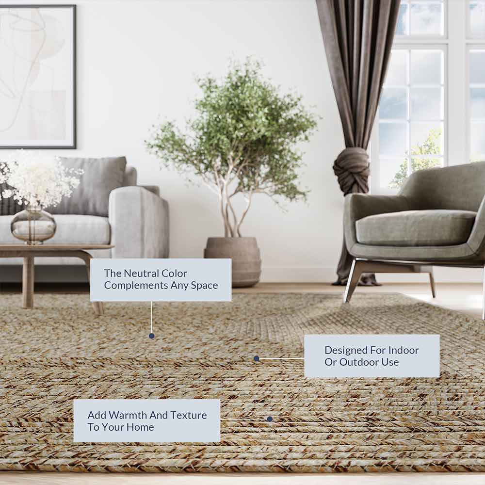 Braided Indoor/Outdoor Area Rug