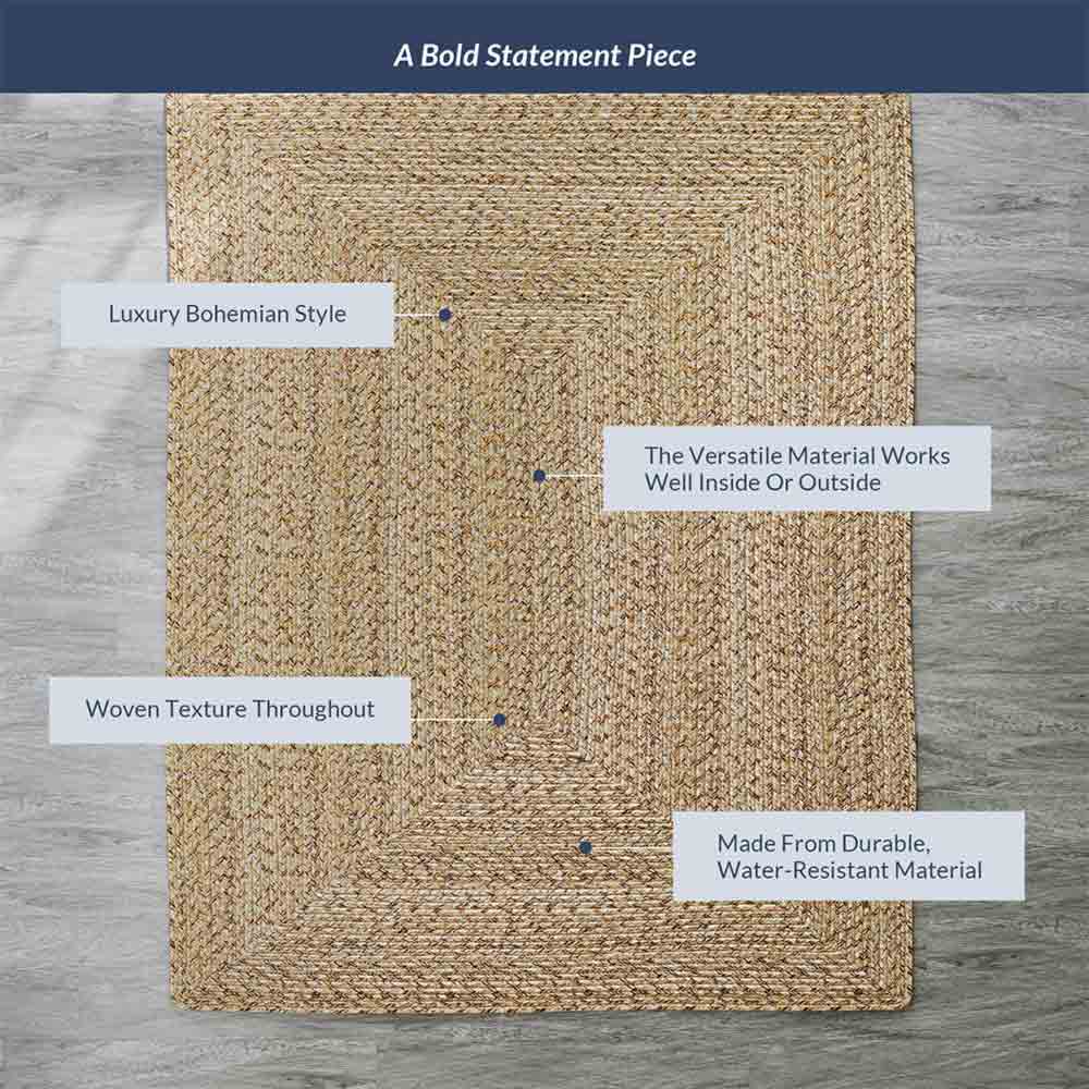 Braided Indoor/Outdoor Area Rug