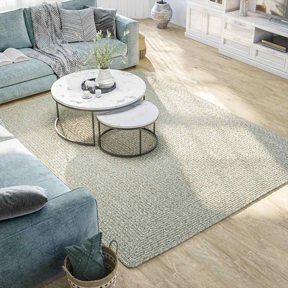 Braided Indoor/Outdoor Area Rug