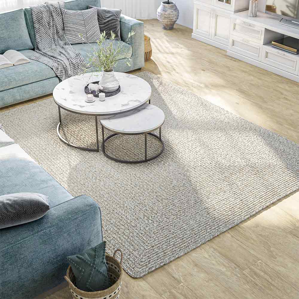 Braided Indoor/Outdoor Area Rug