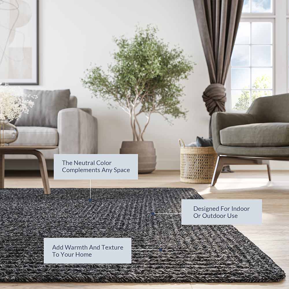 Braided Indoor/Outdoor Area Rug