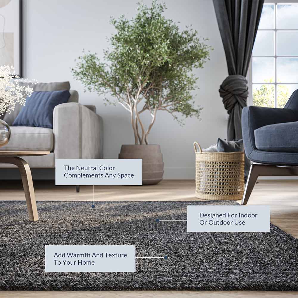 Braided Indoor/Outdoor Area Rug