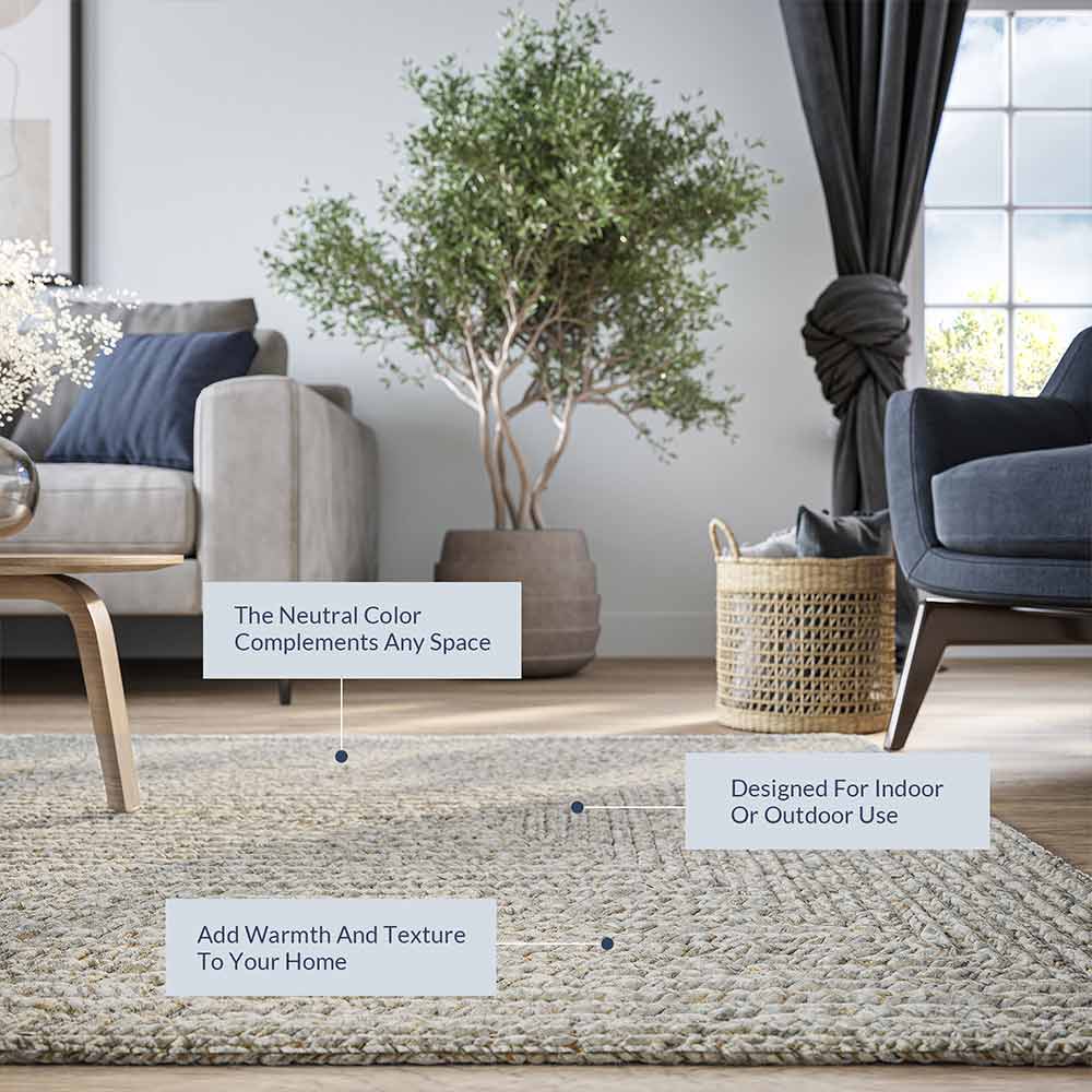 Braided Indoor/Outdoor Area Rug