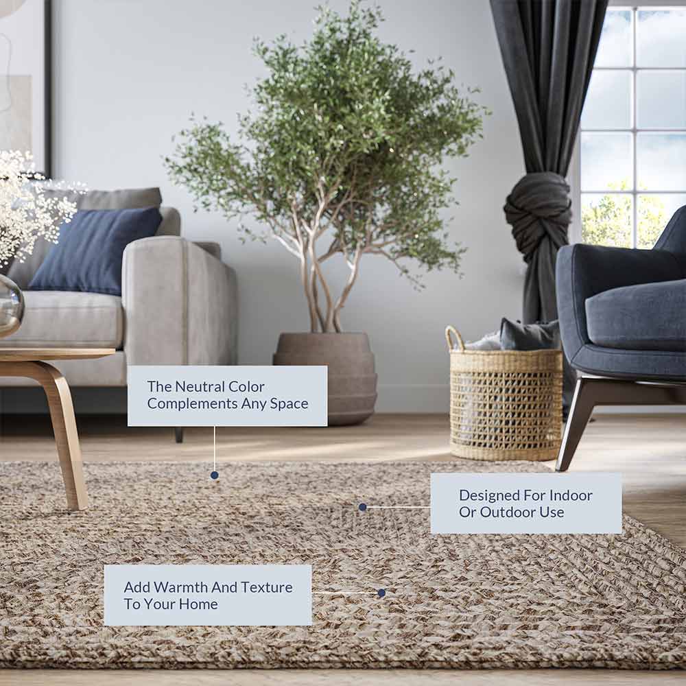 Braided Indoor/Outdoor Area Rug