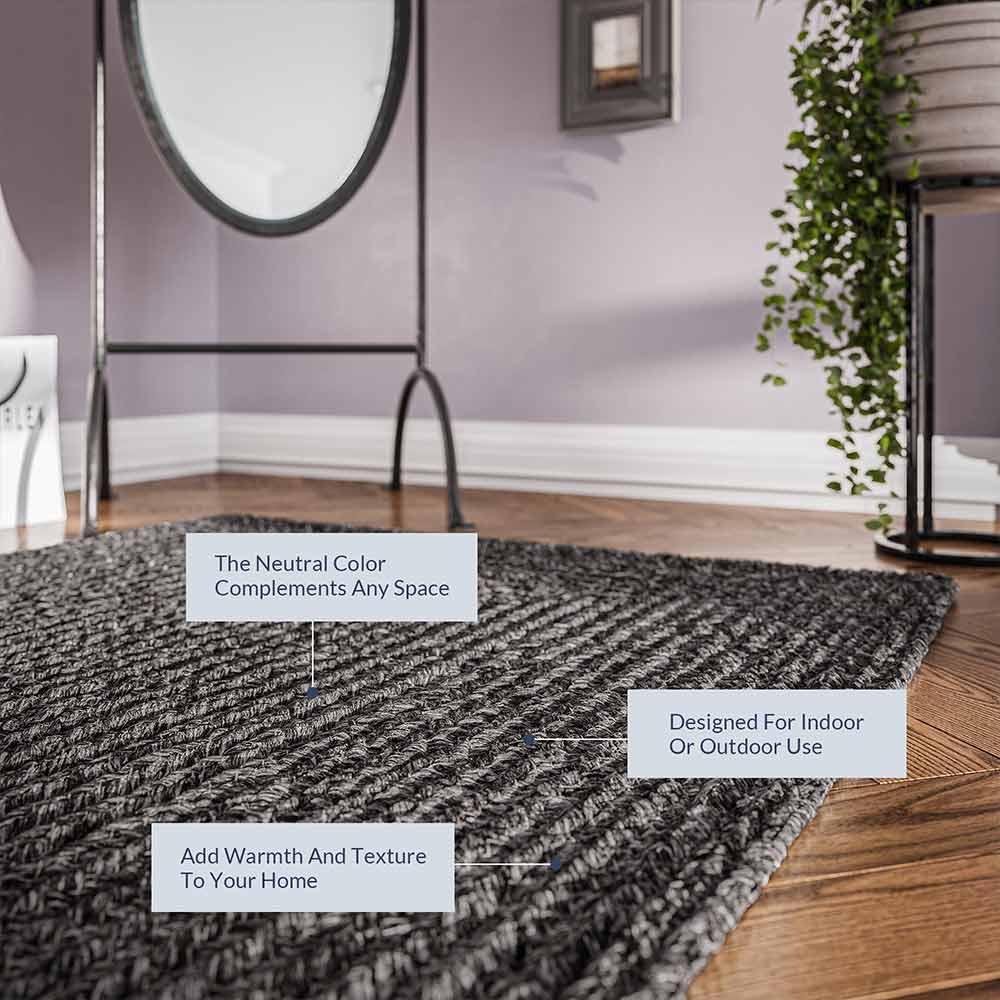 Braided Indoor/Outdoor Area Rug