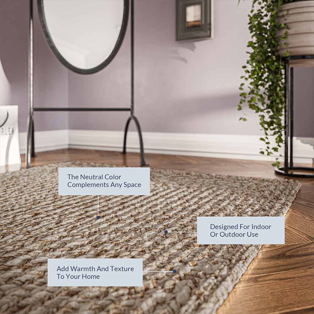 Braided Indoor/Outdoor Area Rug