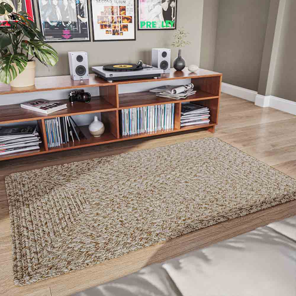 Braided Indoor/Outdoor Area Rug